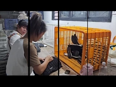 کارخانه خدمات کفش سفارشی